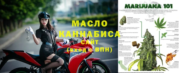 стафф Волоколамск