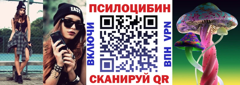 Купить где  Макарьев  Псилоцибиновые грибы Cubensis 